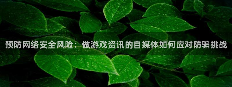 高德娱乐平台官网入口：预防网络安全风险：做游戏资讯的自媒体如