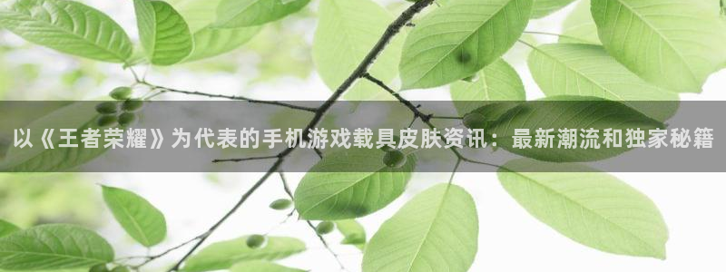 高德娱乐在线登录：以《王者荣耀》为代表的手机游戏载具皮肤资讯