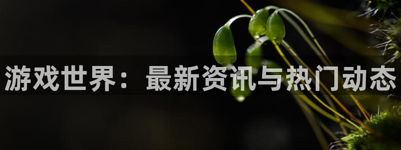 高德娱乐集团：游戏世界：最新资讯与热门动态