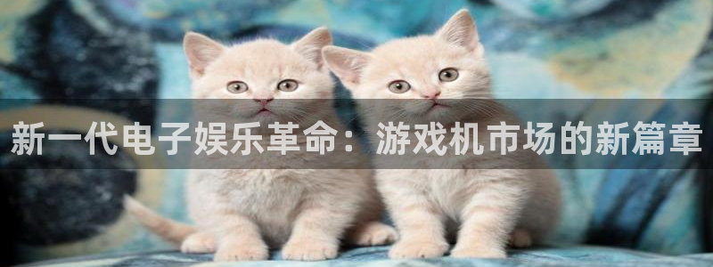 高德娱乐注册账号：新一代电子娱乐革命：游戏机市场的新篇章