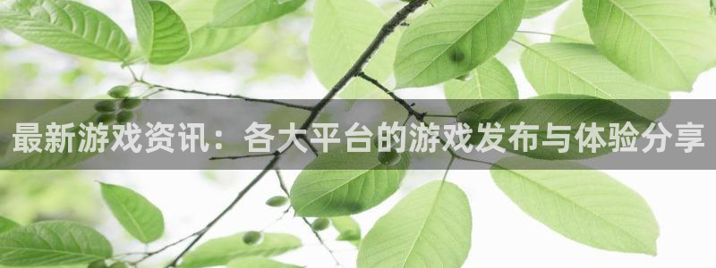 高德娱乐注册账号：最新游戏资讯：各大平台的游戏发布与体验分享
