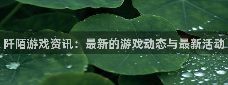 高德娱乐官网登录：阡陌游戏资讯：最新的游戏动态与最新活动