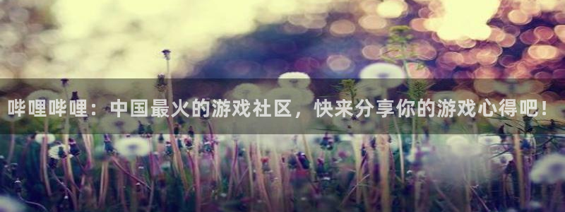 高德娱乐2登录：哔哩哔哩：中国最火的游戏社区，快来分享你的游