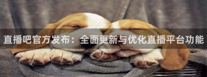 熊猫体育足球直播app：直播吧官方发布：全面更新与优化直播平台功能