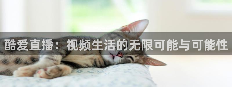 熊猫体育平台直播：酷爱直播：视频生活的无限可能与可能性