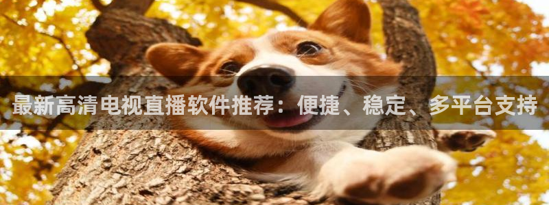 熊猫tv直播：最新高清电视直播软件推荐：便捷、稳定、多平台支持