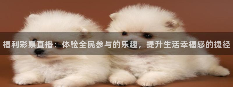 中山熊猫体育：福利彩票直播：体验全民参与的乐趣，提升生活幸福感的捷径