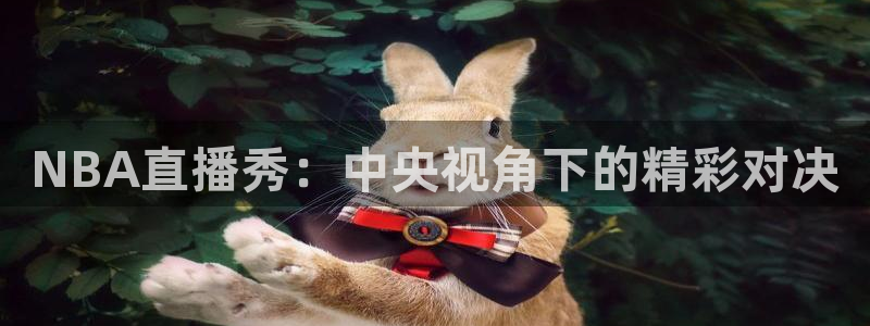 熊猫的：NBA直播秀：中央视角下的精彩对决