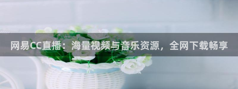 熊猫体育app：网易CC直播：海量视频与音乐资源，全网下载畅享