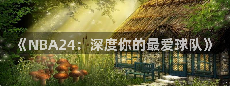 熊猫体育直播足球：《NBA24：深度你的最爱球队》